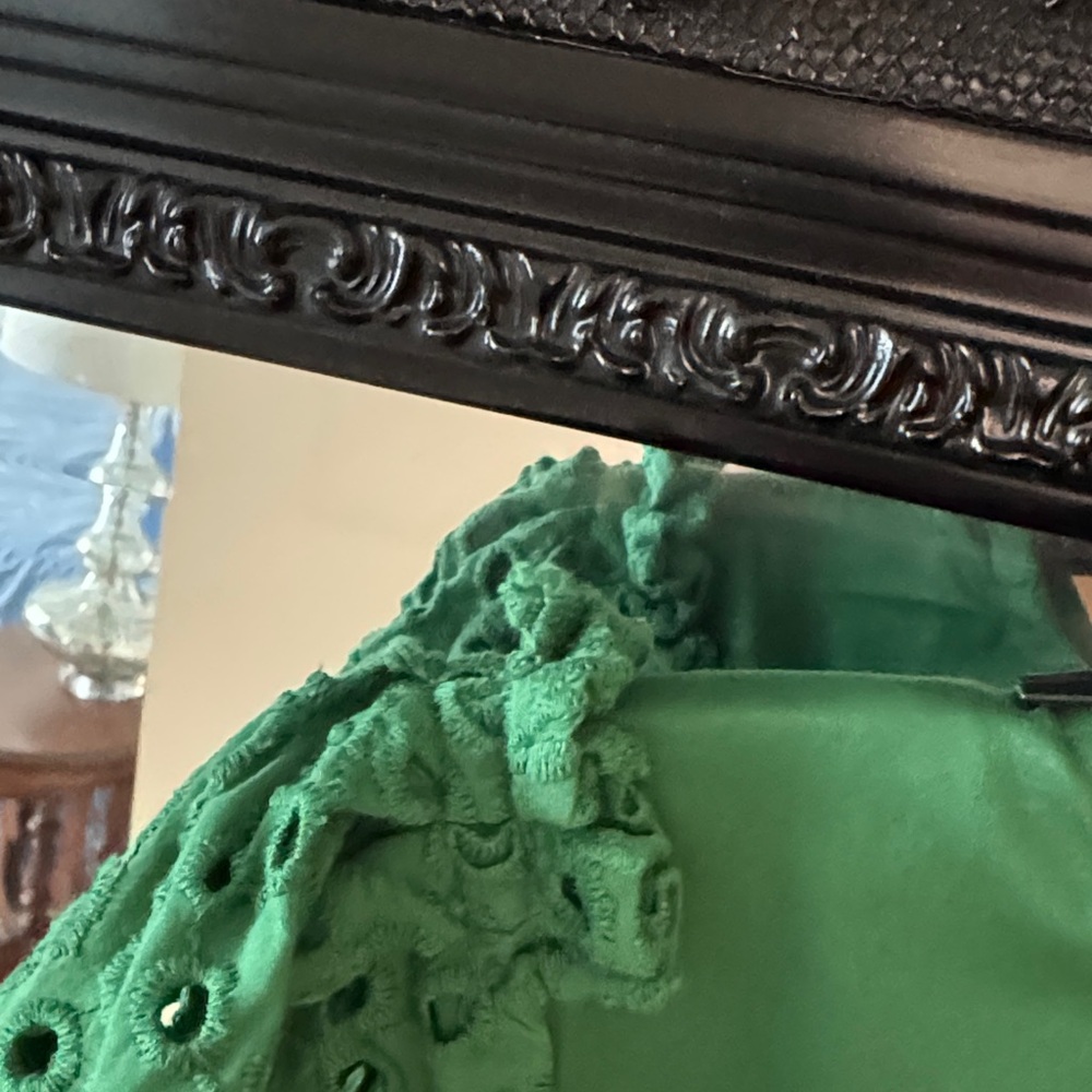 Chico's Vibrant Green Dress with Eyelet Sleeves - Picture 6 of 7